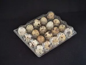 Paka munakenno 20 viiriäisenmunalle - hautomakone.fi verkkokaupasta