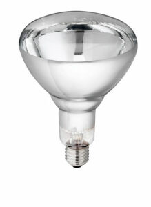 Helios lämpölamppu 100W - kirkas - hautomakone.fi verkkokaupasta
