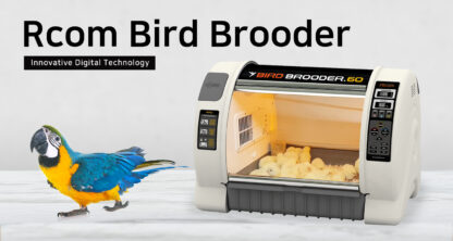 Rcom keinoemo - BIRD BROODER 60